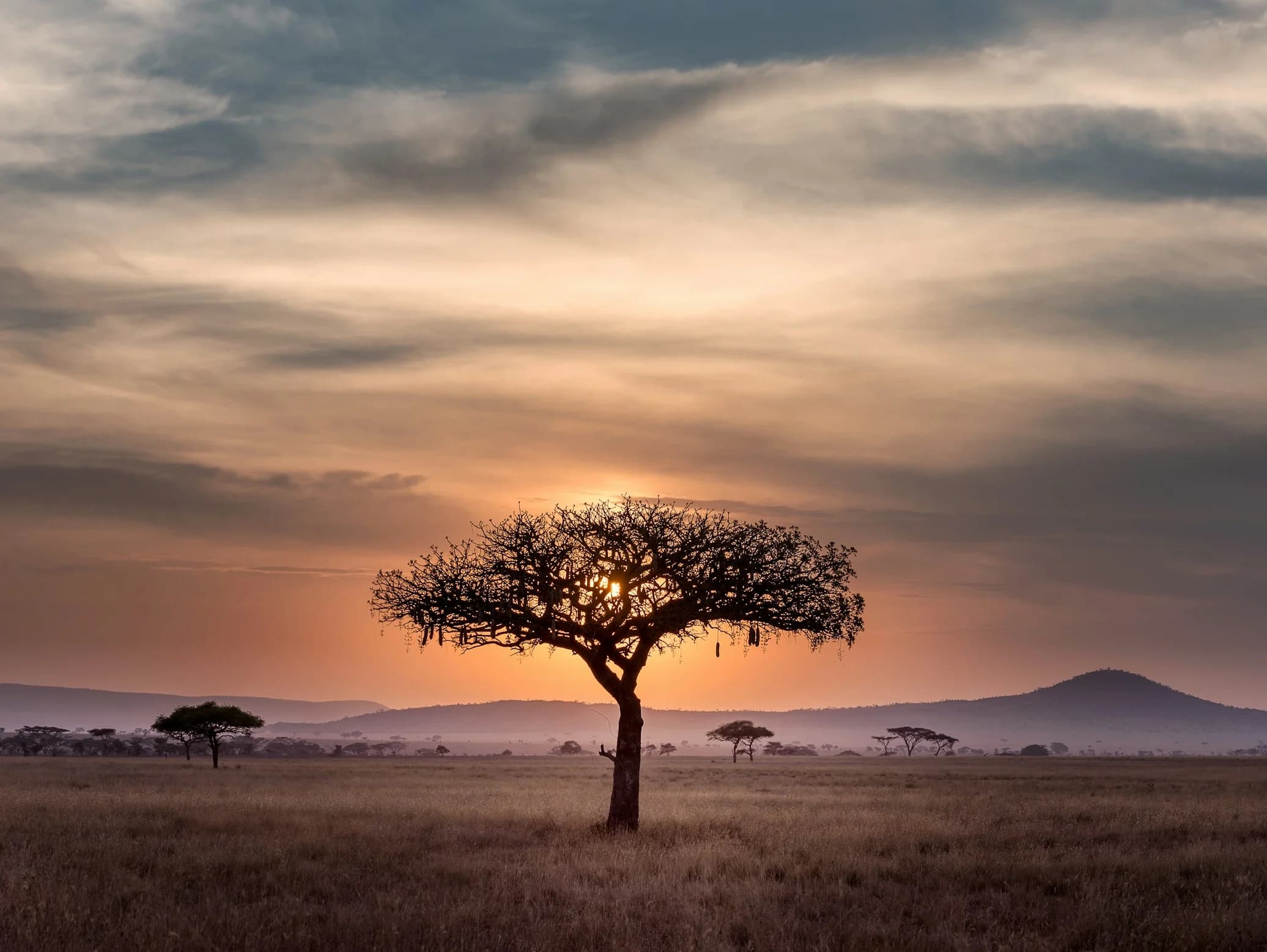 Beautiful Kenya Landscape